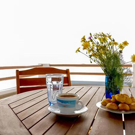 乡村民宿 Vista *